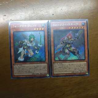 ウォークライ・ウェントとウォークライ・スキーラのシク２枚セット