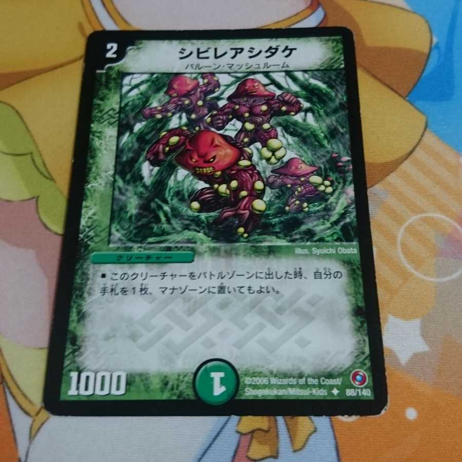 シビレアシダケ 1枚