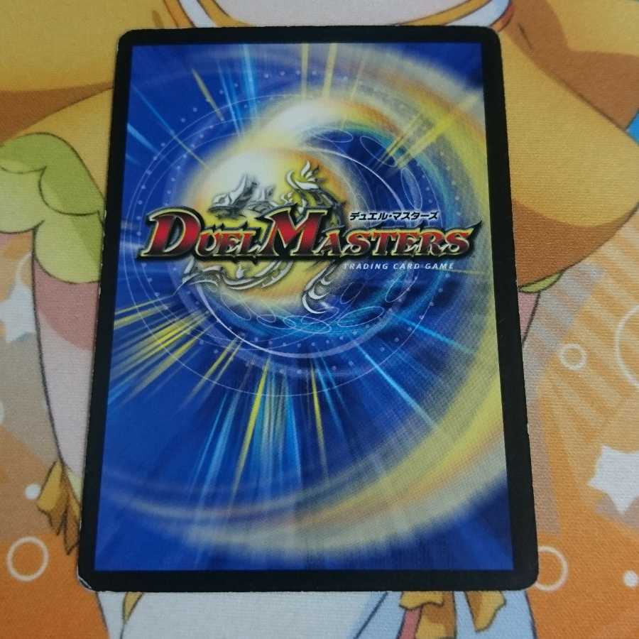 シビレアシダケ 1枚