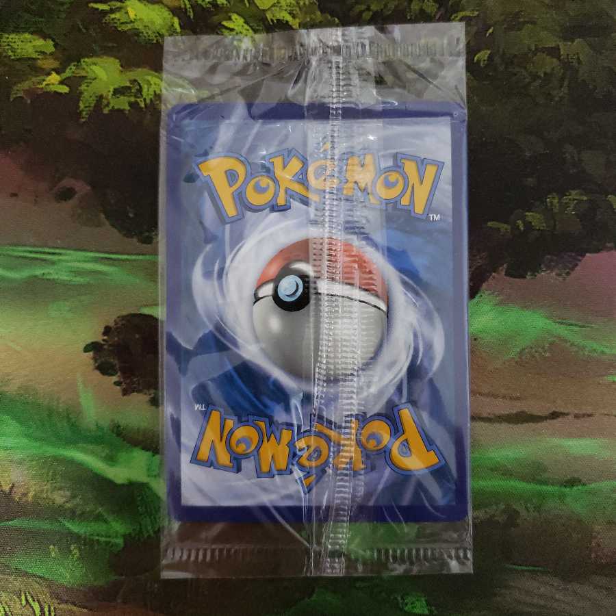 リザードンV【未開封】【英語】