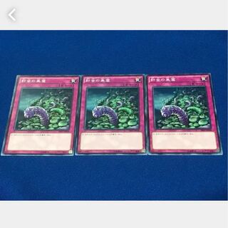 【ぽぽたん】遊戯王 針虫の巣窟 3枚 ノーマル