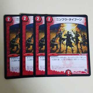 ニンプウタイフーン　4枚