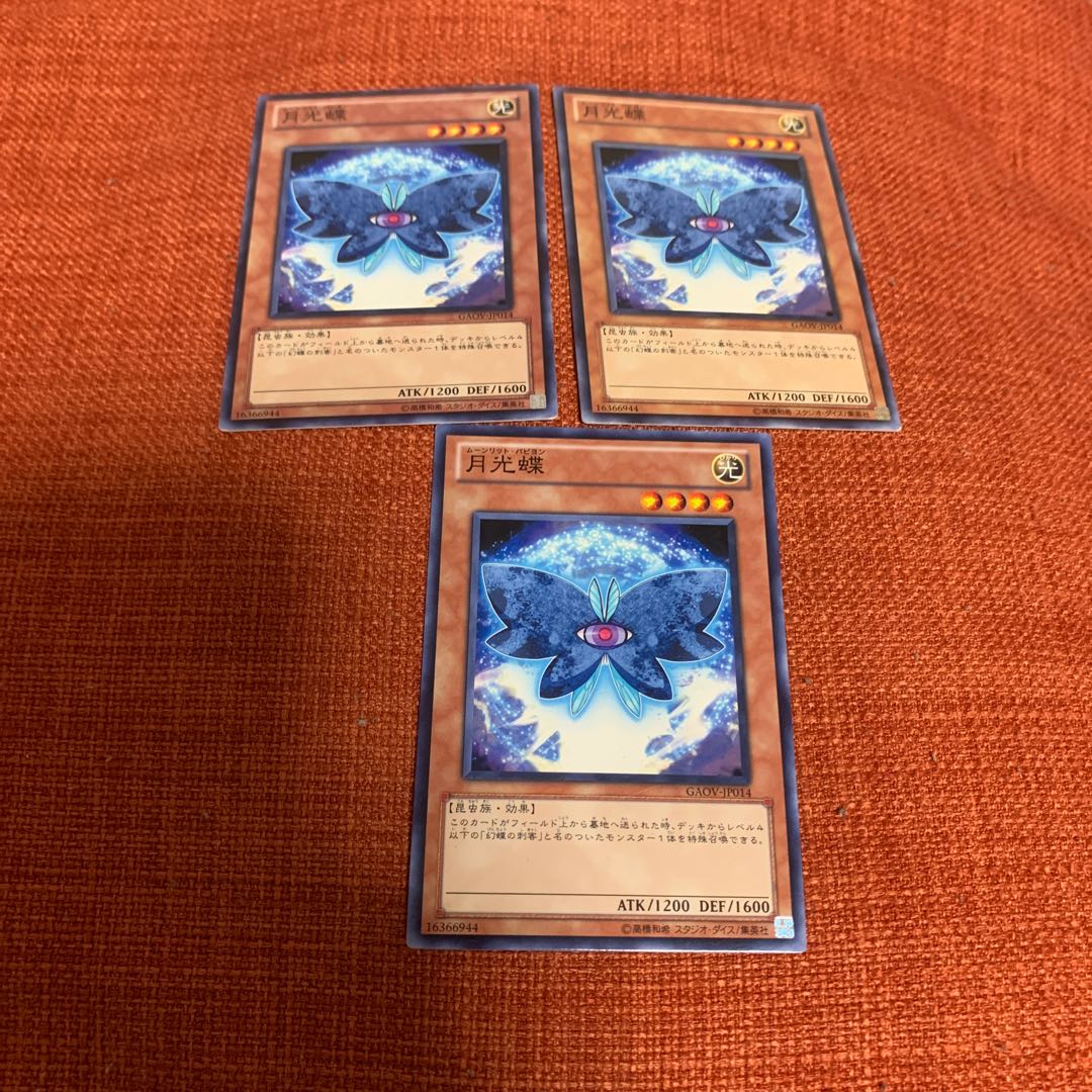 月光蝶 ノーマル