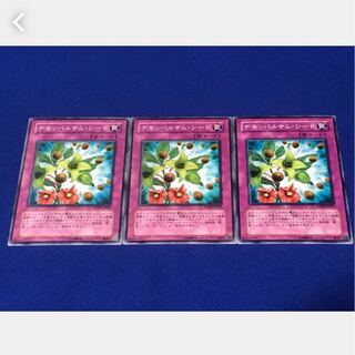 【ぽぽたん】遊戯王  521  デモンバルサム・シード 3枚 ノーマル