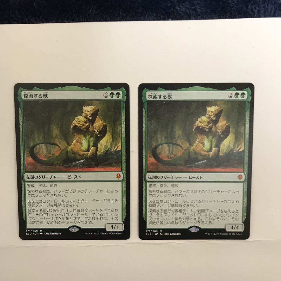 探索する獣 2枚