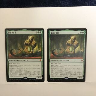 探索する獣 2枚