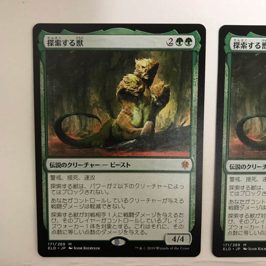 探索する獣 2枚