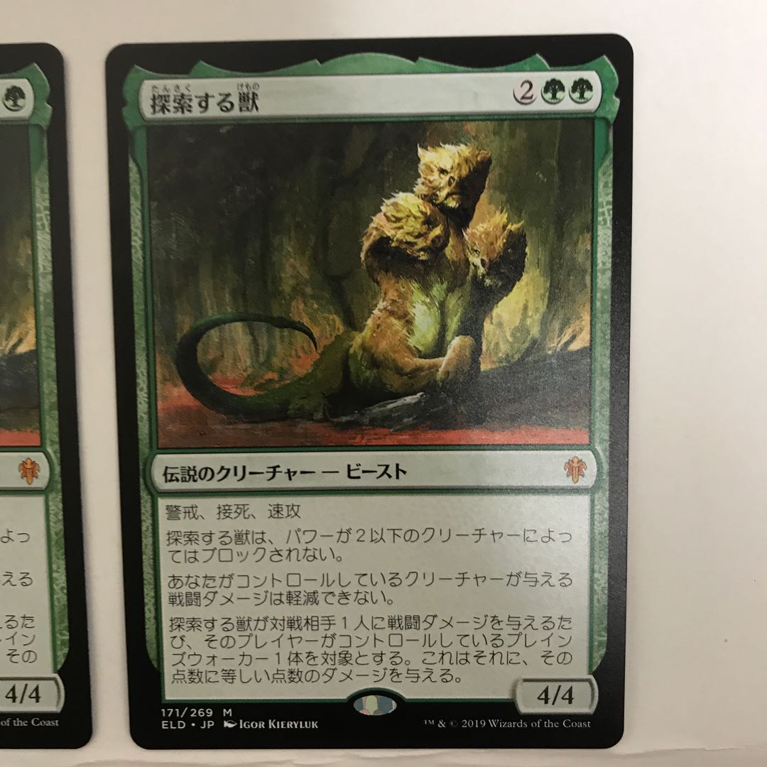 探索する獣 2枚