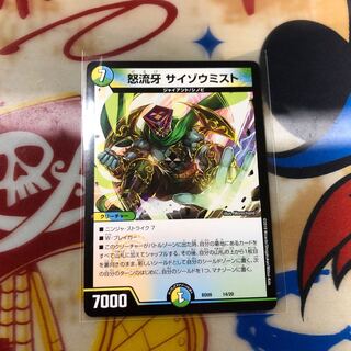 サイゾウミスト 1枚