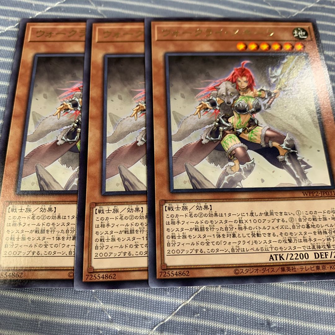 ウォークライ・スキーラ レア