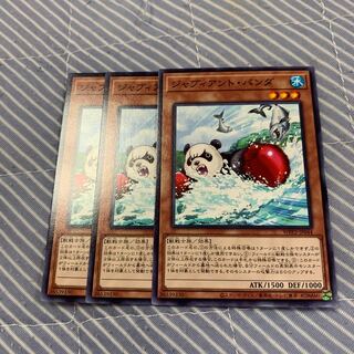 ジャブィアント・パンダ ノーマル