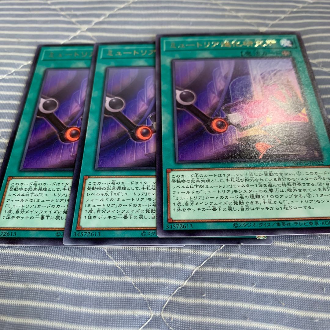 ミュートリア進化研究所 レア