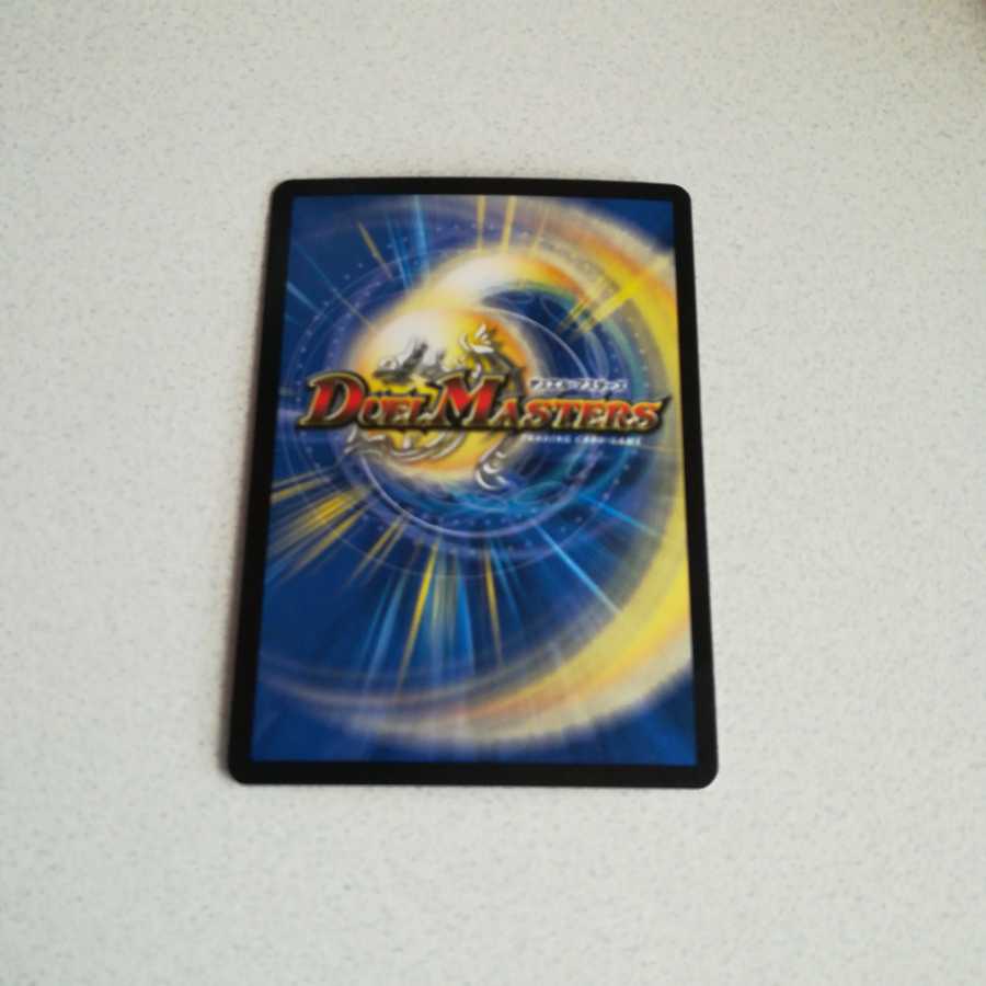 Beautiful Great Maze Turtle Wonder Turtle SE