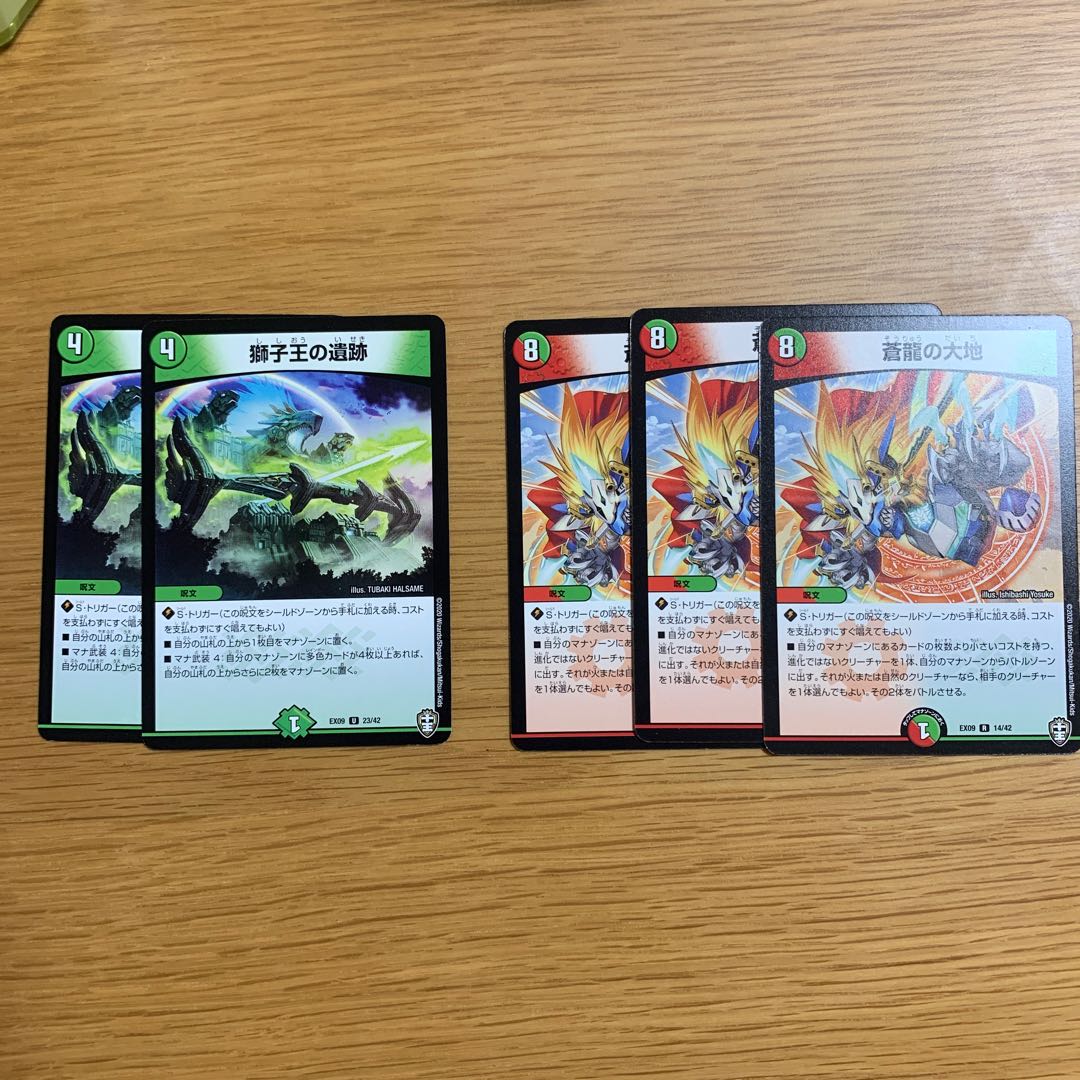 蒼龍の大地 獅子王の遺跡