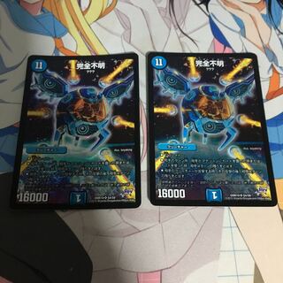 完全不明 2枚セット