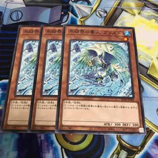 氷結界の番人 ブリズド ノーマル　Hulu 1428