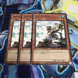 氷結界の術者　ノーマル　Hulu 1429