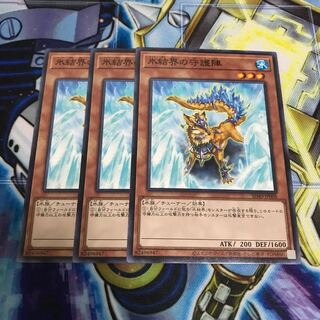 氷結界の守護陣 ノーマル　Hulu 1430