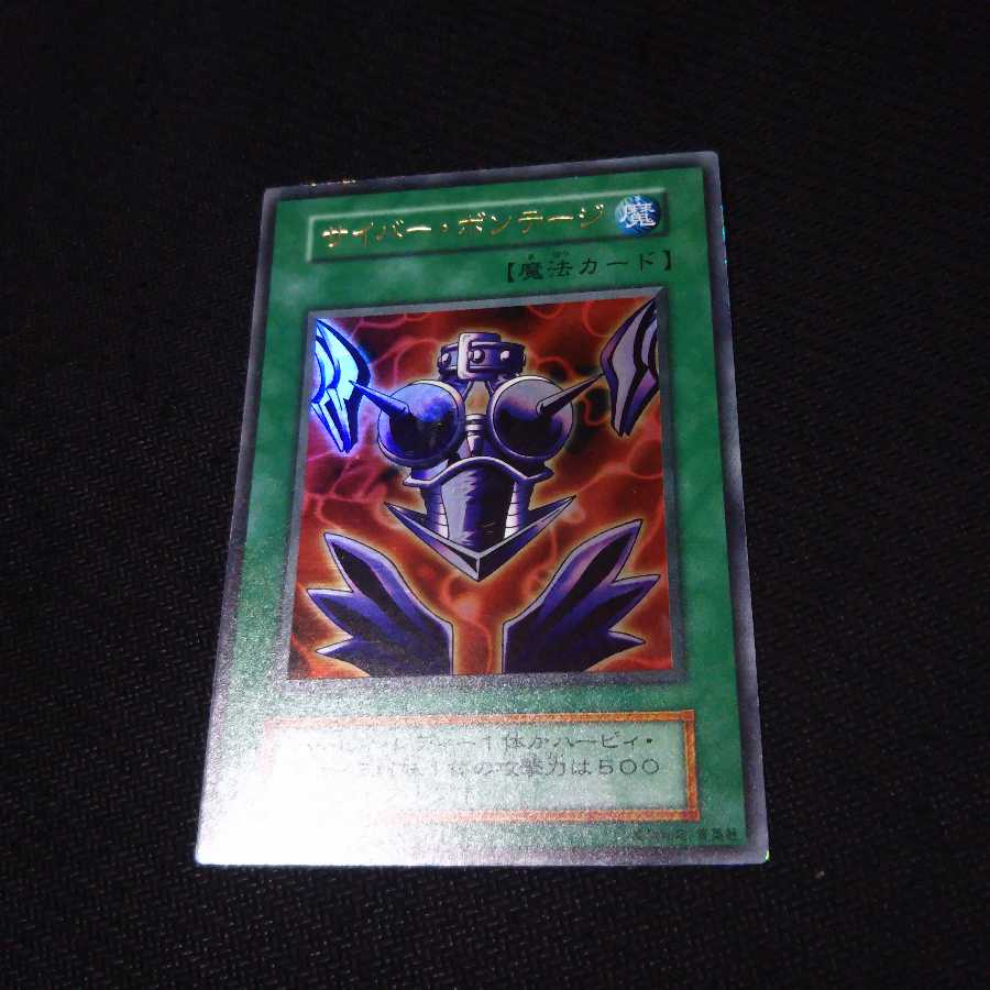 サイバーボンテージ