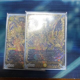 煌龍 サッヴァーク