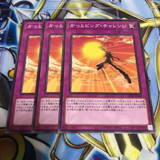 かっとビング・チャレンジ　ノーマル　Hulu 1459