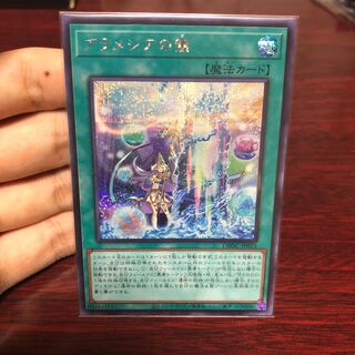 アラメシアの儀 シークレット