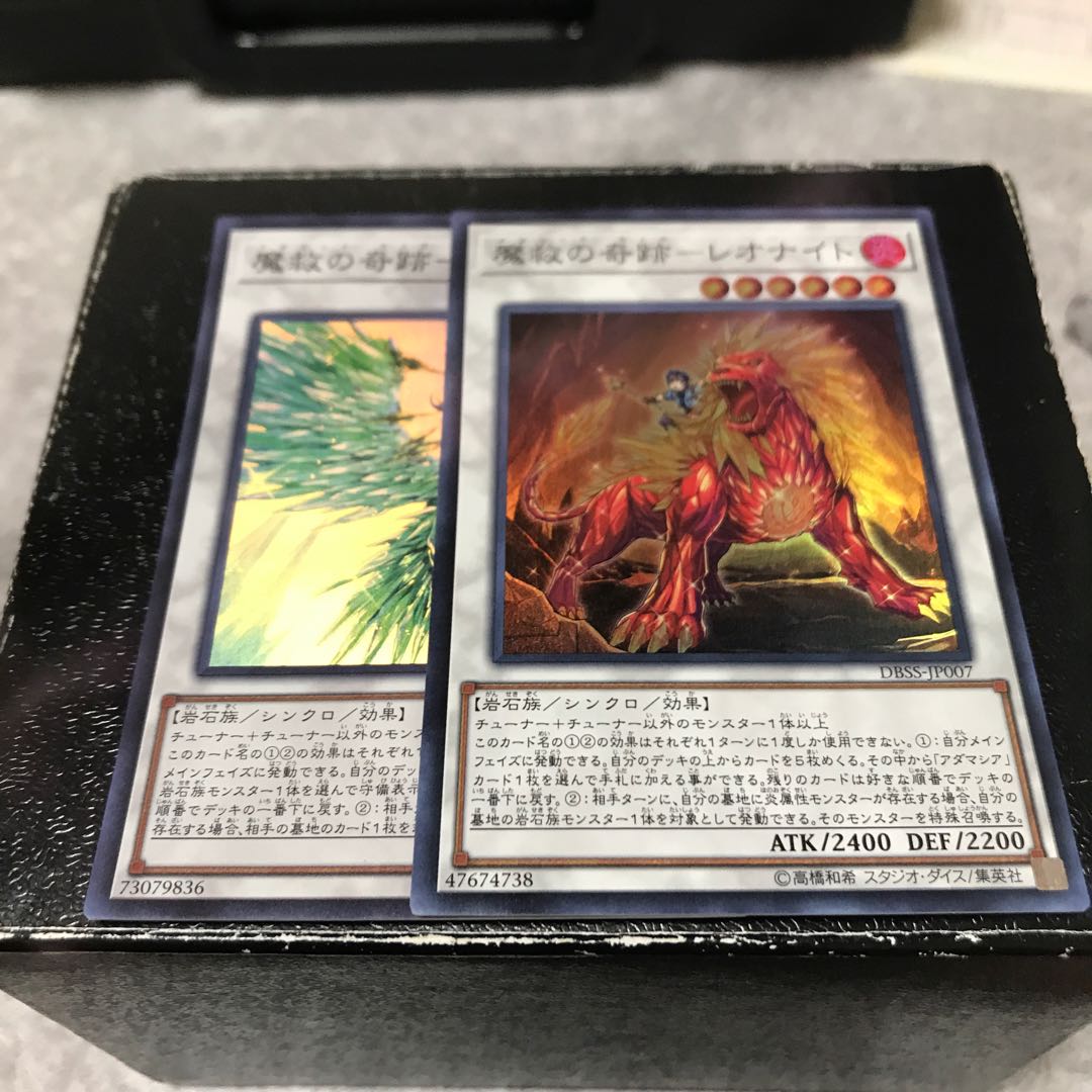 魔救の奇跡-ラプタイト、レオナイト