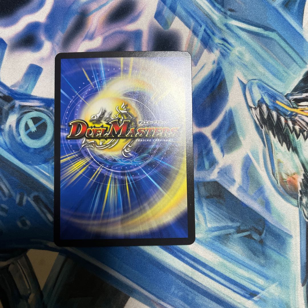 「絶対の楯騎士」