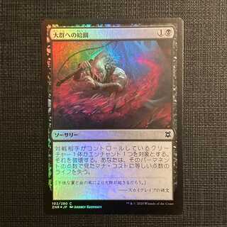 ZNR【大群への給餌】日本語 Foil