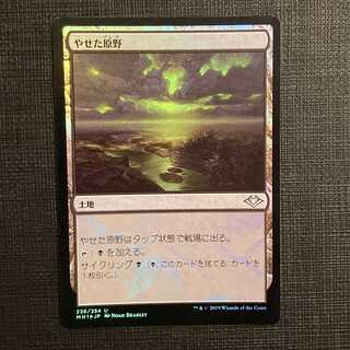 MH1 [Barren Moor] Japanese Foil