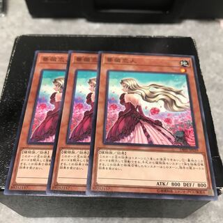 薔薇恋人 ノーマル3枚