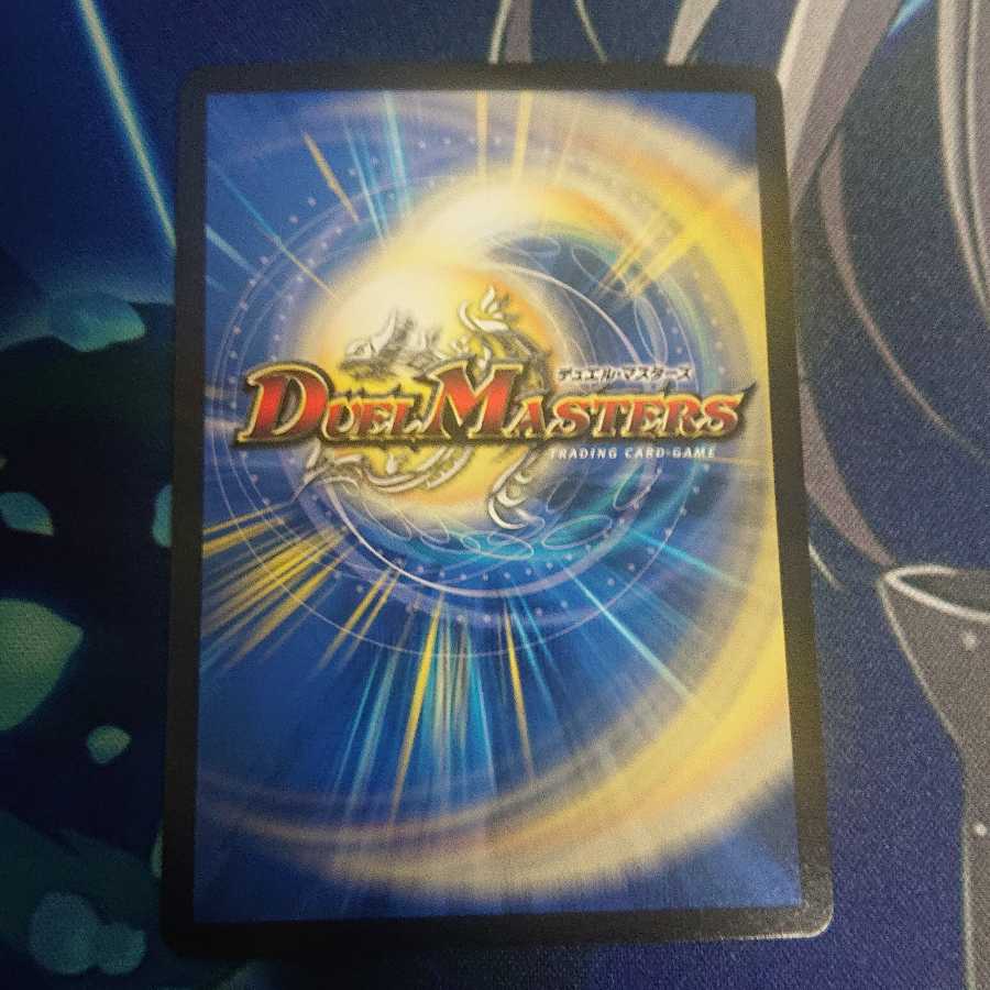 闘争類拳嘩目 ステゴロ・カイザー|お清めシャラップ