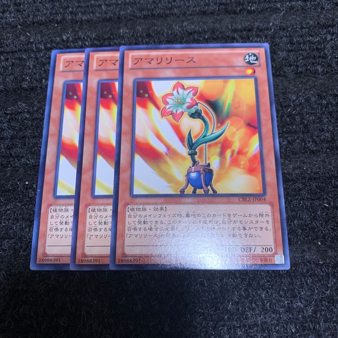 アマリリース ノーマル