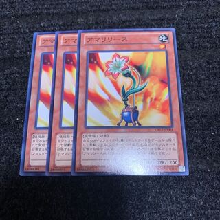 アマリリース ノーマル