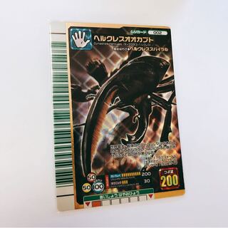 ヘラクレスオオカブト 2007ファースト