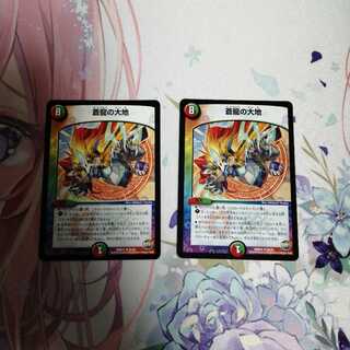 蒼龍の大地 2枚