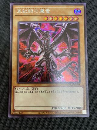 真紅眼の黒竜 シークレットレア（イラスト違い）+α