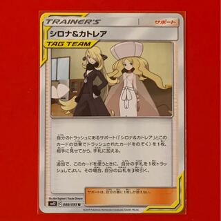 シロナ＆カトレア