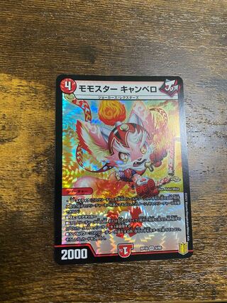 モモスター キャンベロ VR 1枚