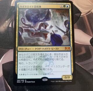 めがねさん専用