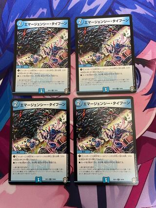 エマージェンシー・タイフーン