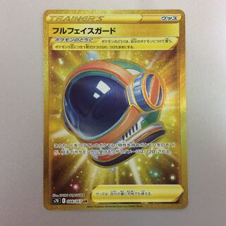 (Slight flaw) Full face guard UR 088/067