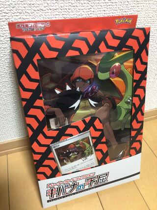 ゆーたた様専用【未開封新品】トレーナーカードコレクション　キバナの不屈