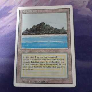 MTG Tropical Island 英語　3ed