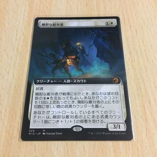 豪胆な敵対者　拡張