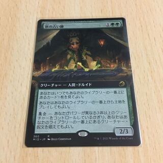 秋の占い師　拡張