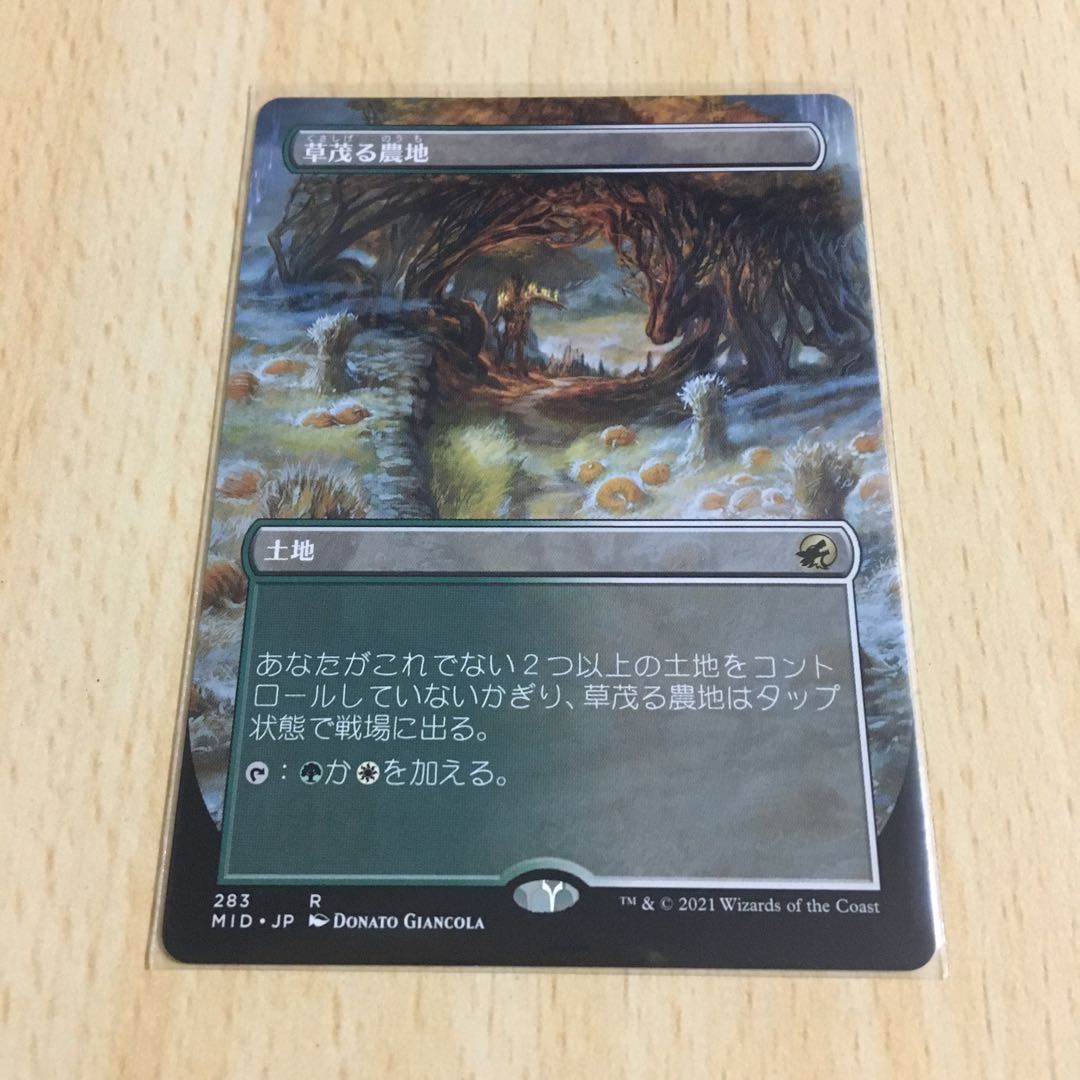 草茂る農地　拡張