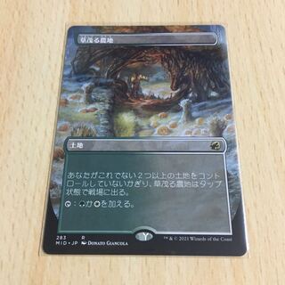 草茂る農地　拡張