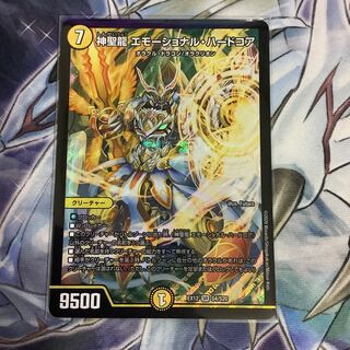 神聖龍 エモーショナル・ハードコア