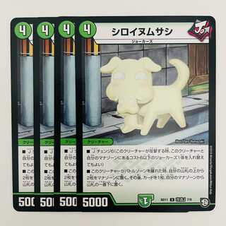 4 sheets of white tern DM-BD-11-K7-9